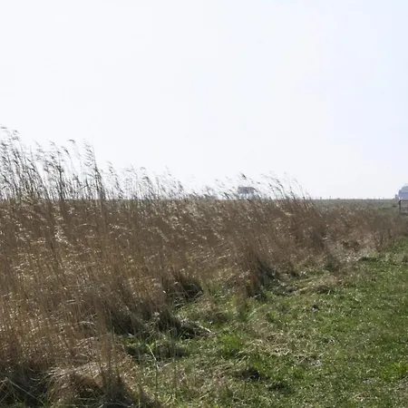 Lejlighed Apartment, St Peter-ording